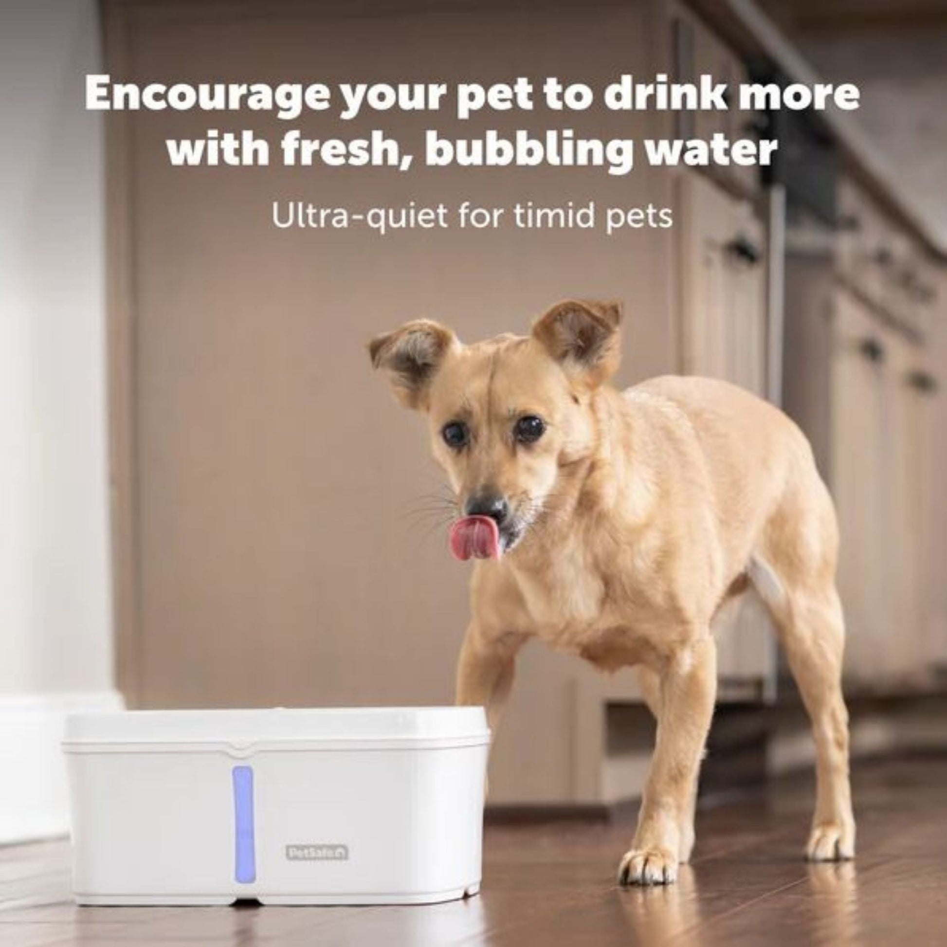 Petsafe Dog & Cat Viva Fountain Plastic Tray 140oz.