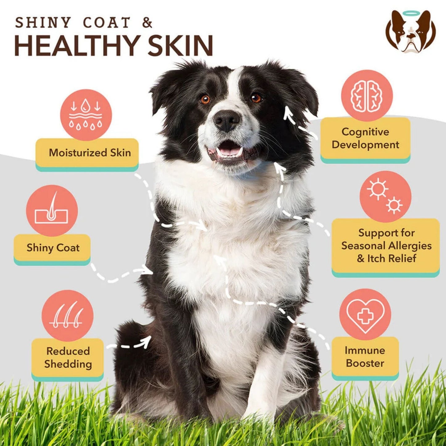 Natural Dog Company Dog Skin & Coat Supplement Chews - 90 Count