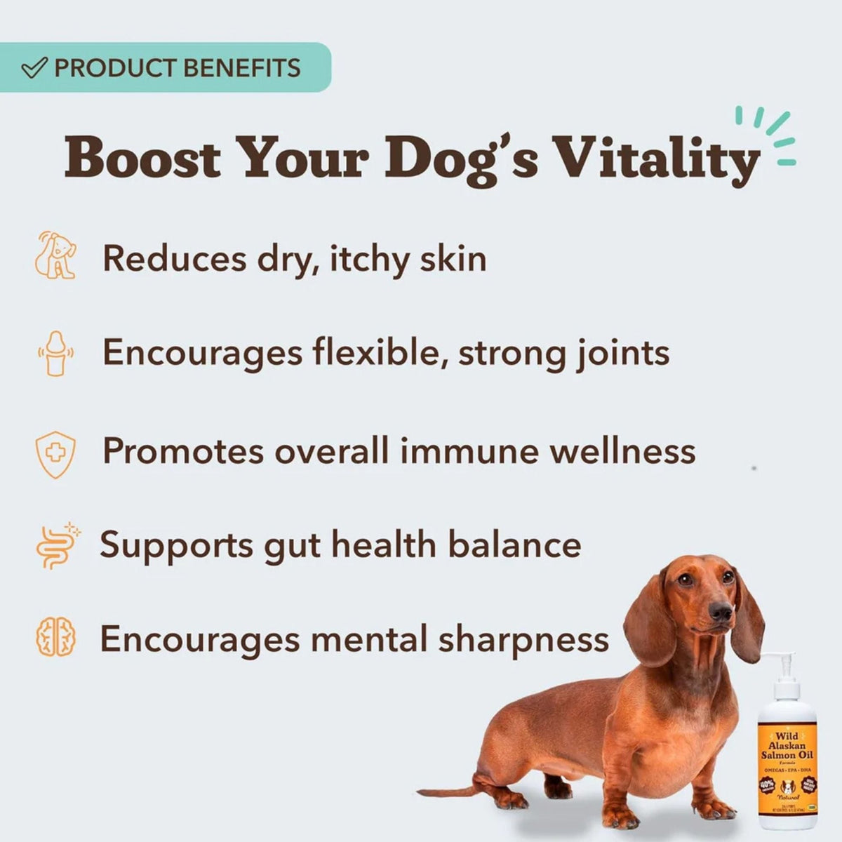 Natural Dog Company Dog & Cat Wild Alaskan Salmon Oil 16oz.
