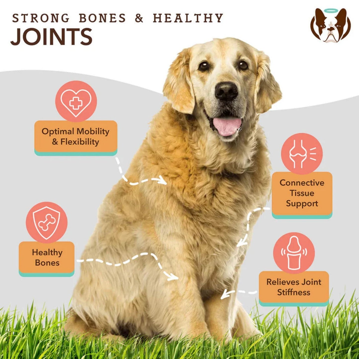 Natural Dog Company Dog Hip & Joint / Glucosamine Oil 16oz.
