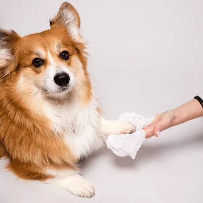 Natural Dog Company Dog Grooming Wipes - 50 Count