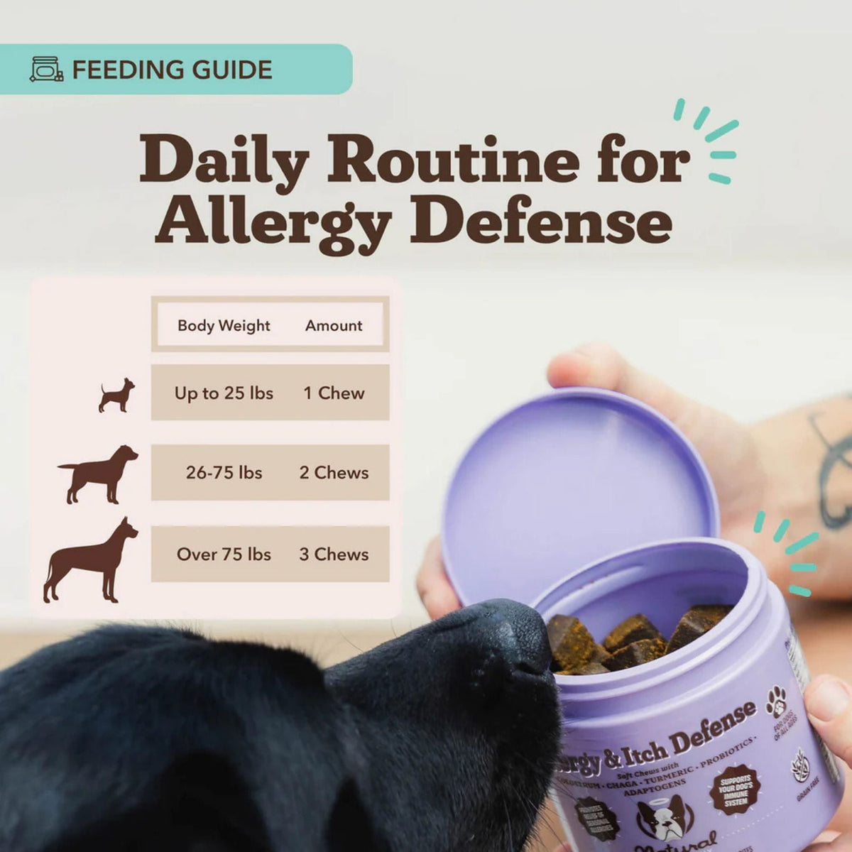 Natural Dog Company Dog Allergy & Itch Supplement Chews - 90 Count