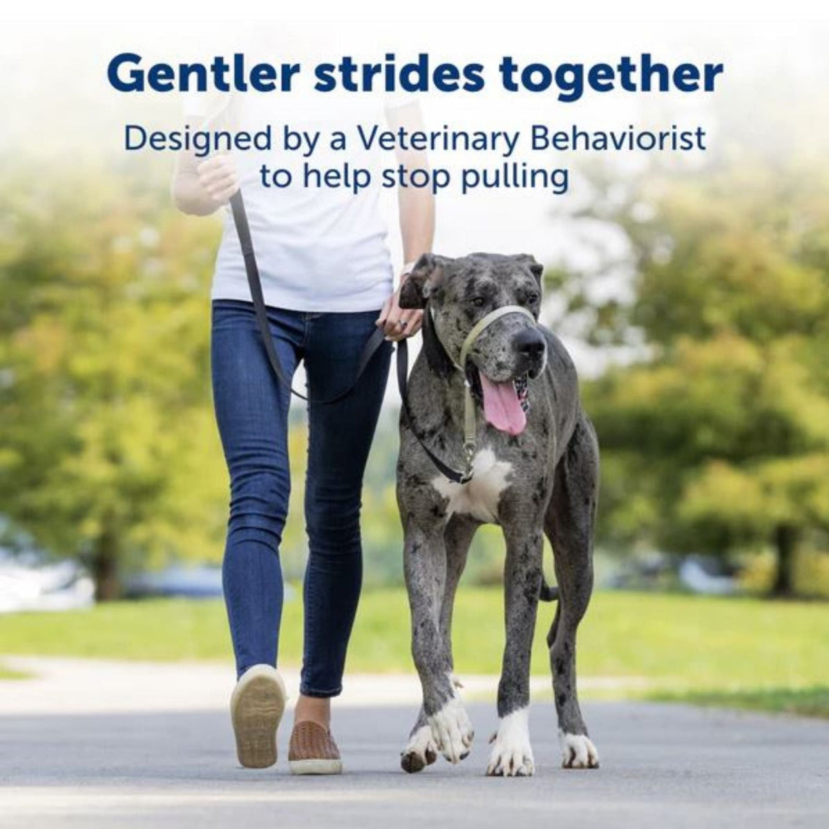 Petsafe Dog Gentle Leader Dog Head Collar Black Medium