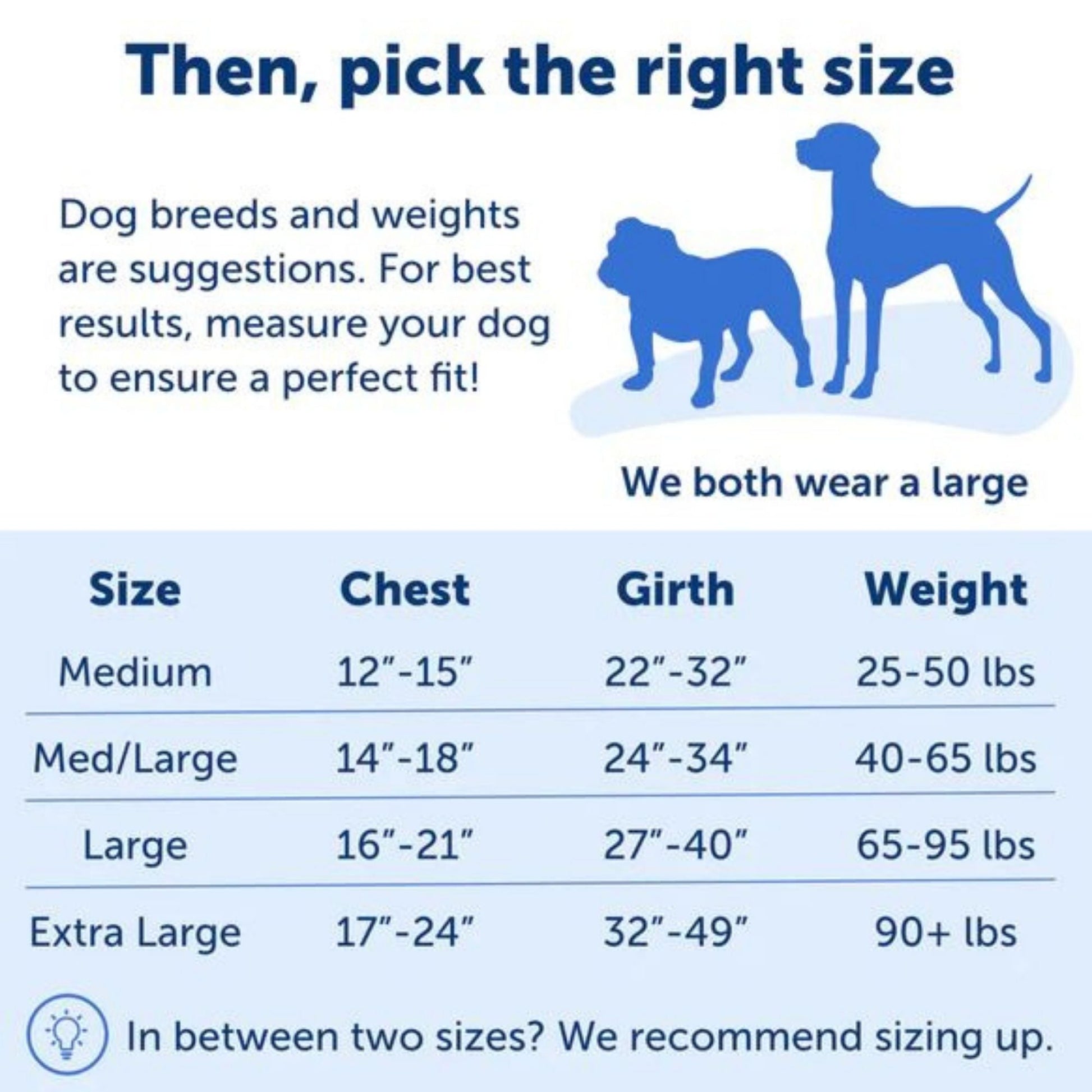 Petsafe Dog Easy Walk Harness Blue Large