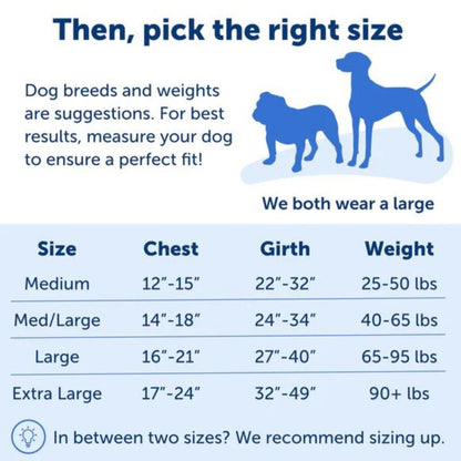 Petsafe Dog Easy Walk Harness Blue Large