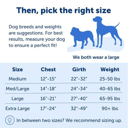 Petsafe Dog Easy Walk Harness Blue Medium / Large