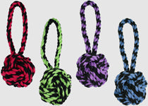 Multipet Nuts For Knots with Tug Toy Assorted 4 in