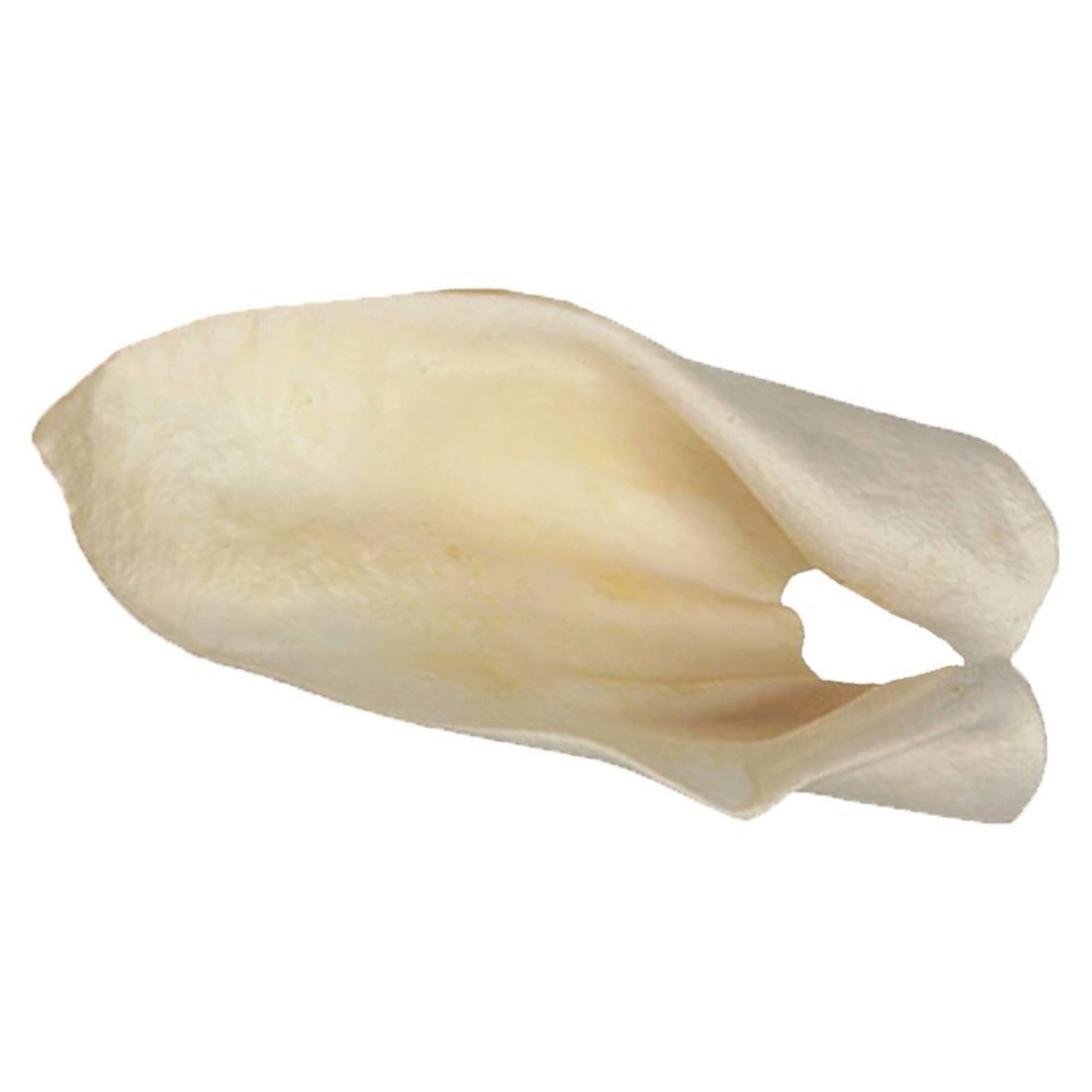 Redbarn Pet Products Cow Ears Dog Chew Bulk Box 1ea/100 ct
