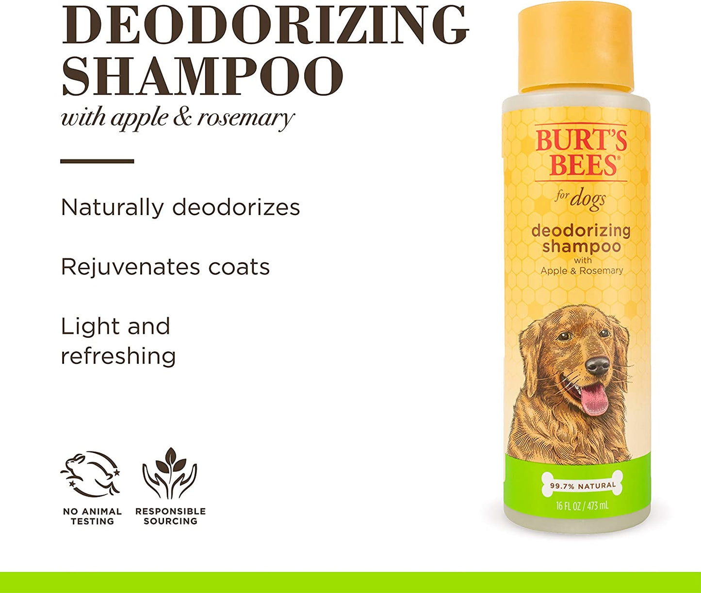 Naturally Derived Deodorizing Dog Shampoo with Apple & Rosemary - Dog Shampoo for Odors - Cruelty Free, Formulated without Sulfates and Parabens, Made in USA, 16 Oz - 2 Pack