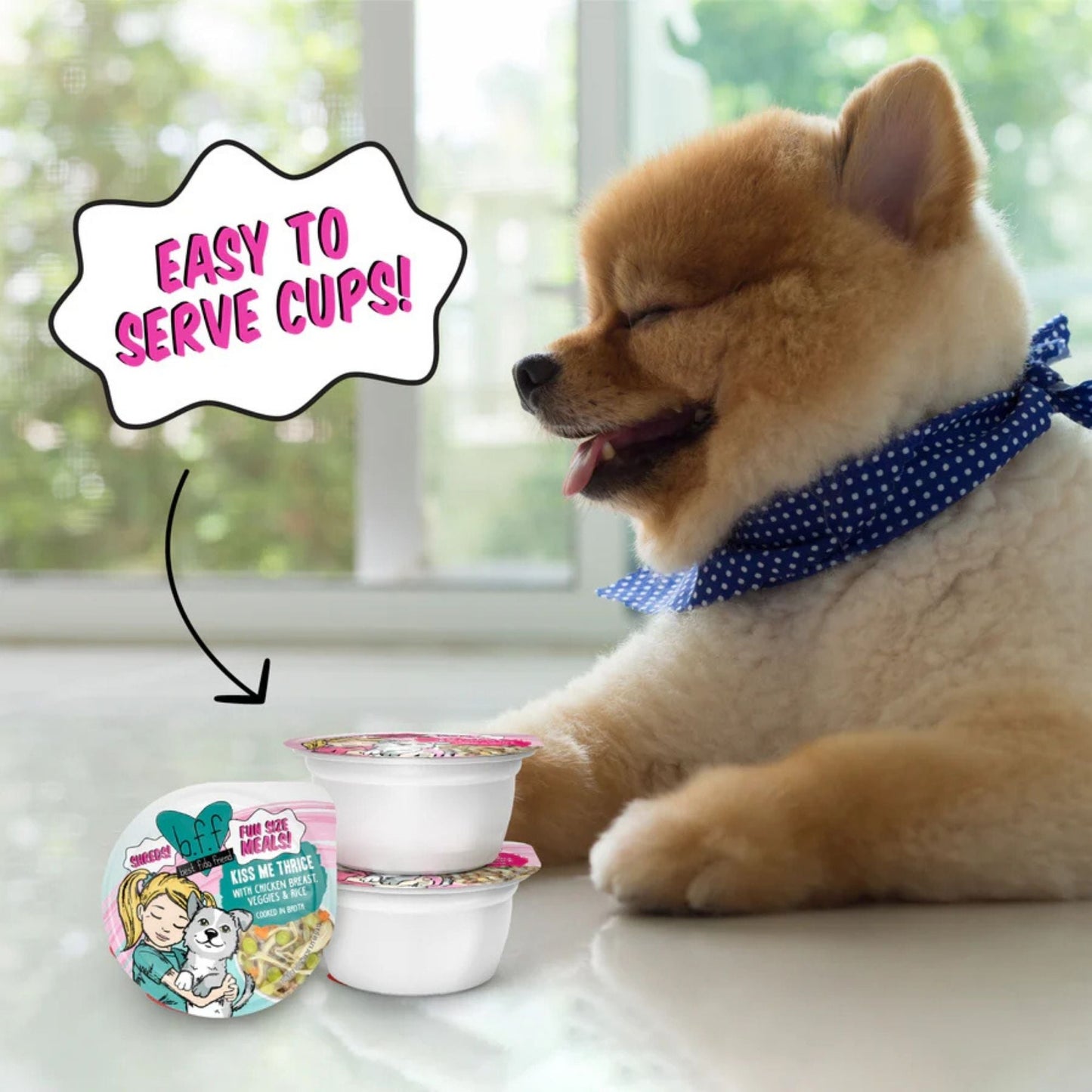 BFF Dog Fun Size Sampler Variety 2.75oz. - (Case of 8)
