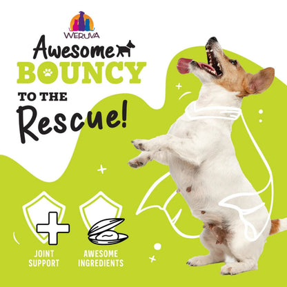 Weruva Dog Bouncy Chicken & Veggie 14oz.  (Case of 10)