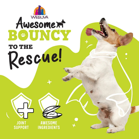 Weruva Dog Bouncy Chicken & Veggie 14oz.  (Case of 10)