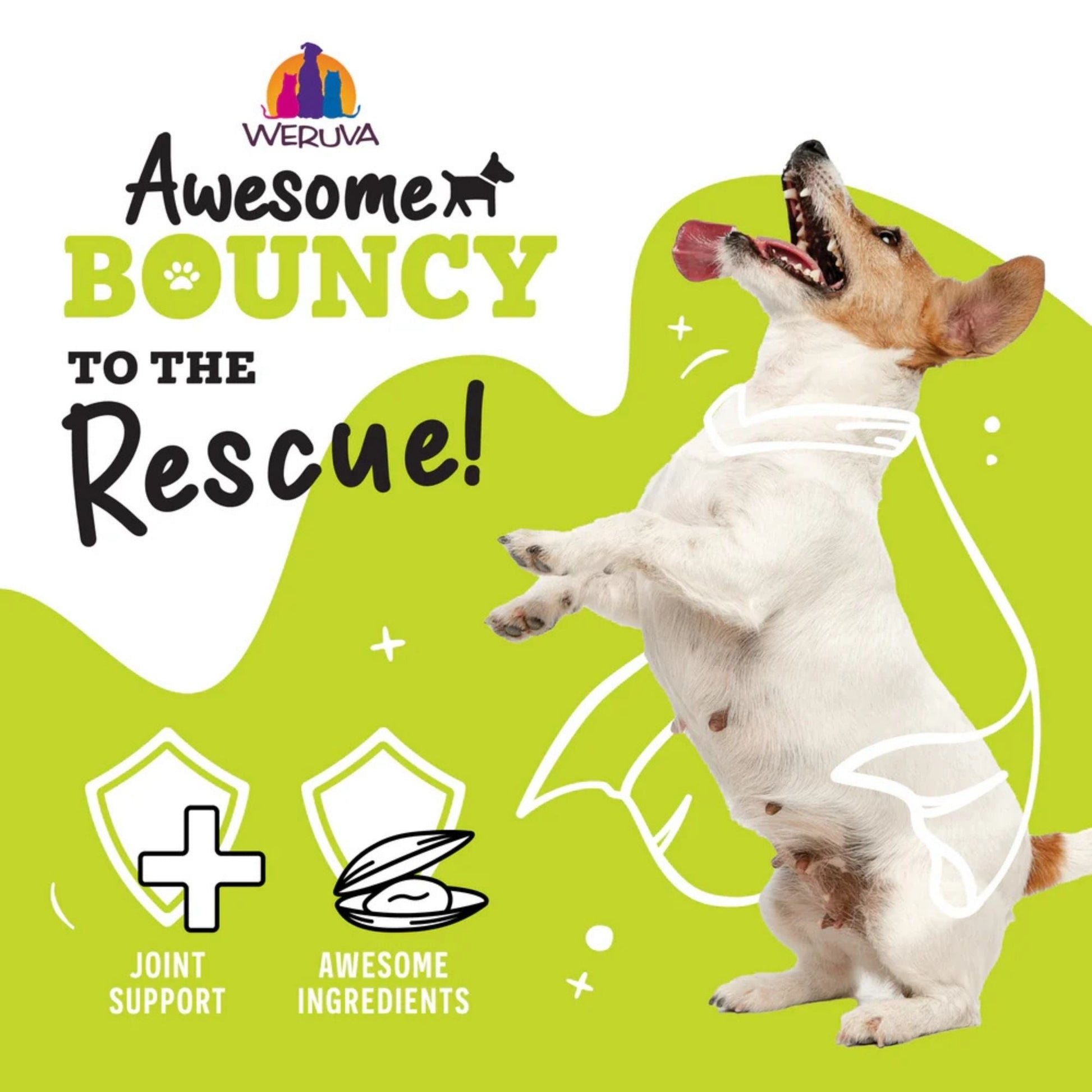 Weruva Dog Bouncy Chicken & Veggie 6oz. (Case of 8)