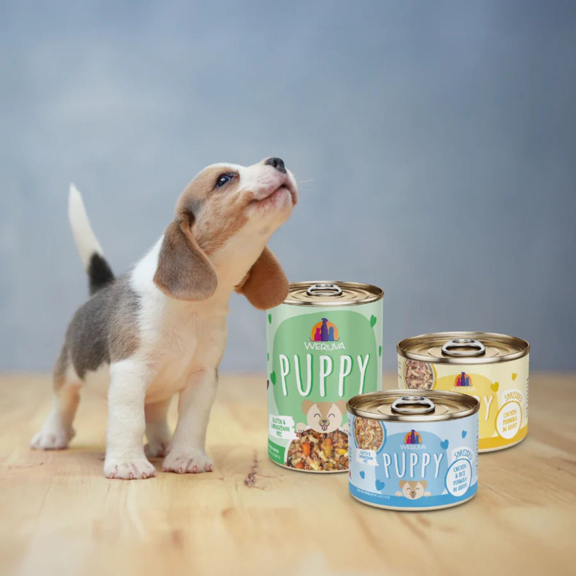 Weruva Dog Puppy Beef & Rice Formula 14oz. - (Case of 10)