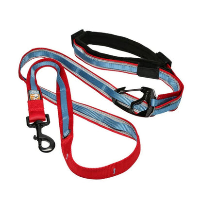 Kurgo Dog Quantum Reflective Leash Red