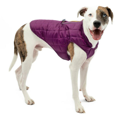 Kurgo Dog Loft Jacket Violet Small