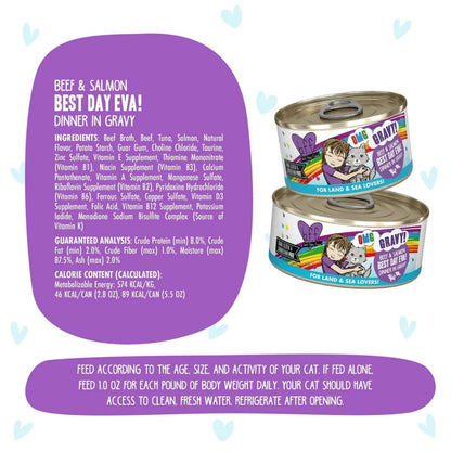 BFF Cat Omg Gravy Best Day Eva Beef & Salmon 5.5oz. - (Case of 8)