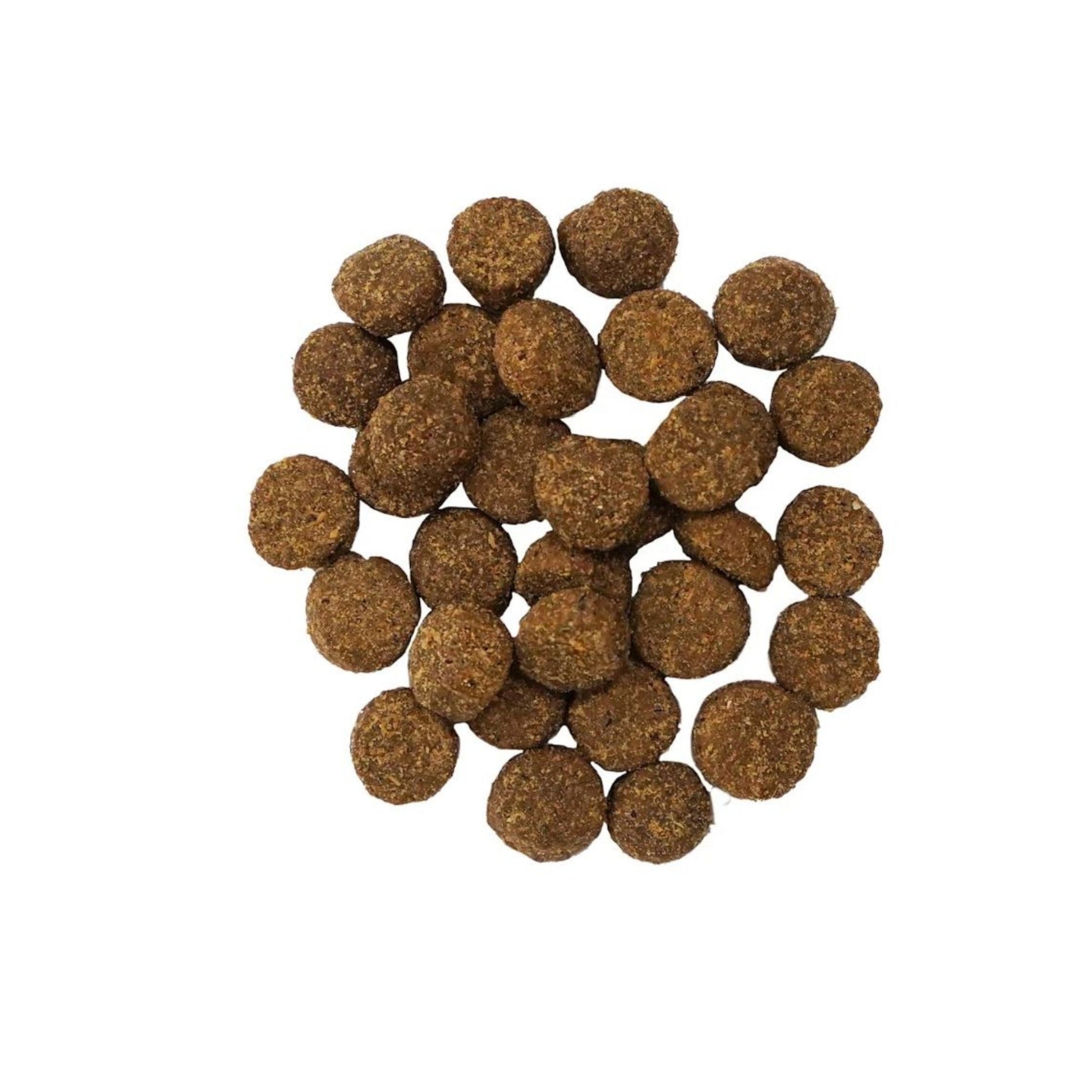 Go! Dog Digestion & Gut Health Salmon Ancient Grain 3.5Lb