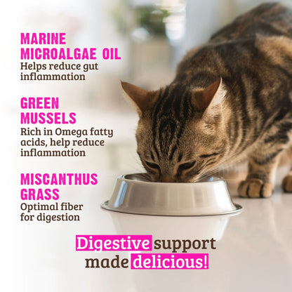 Rawz Digestive Cat Rabbit Green Mussels Pate 5.5oz. (Case of 24)