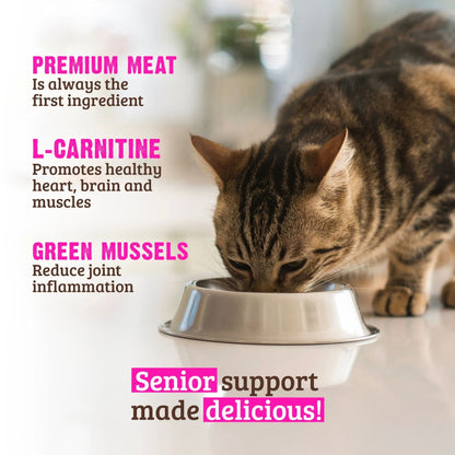 Rawz Senior Cat Salmon Tuna Green Mussels Pate 5.5oz. (Case of 24)