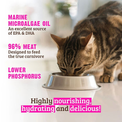 Rawz Phosphorus Cat Beef Pate 5.5oz. (Case of 24)