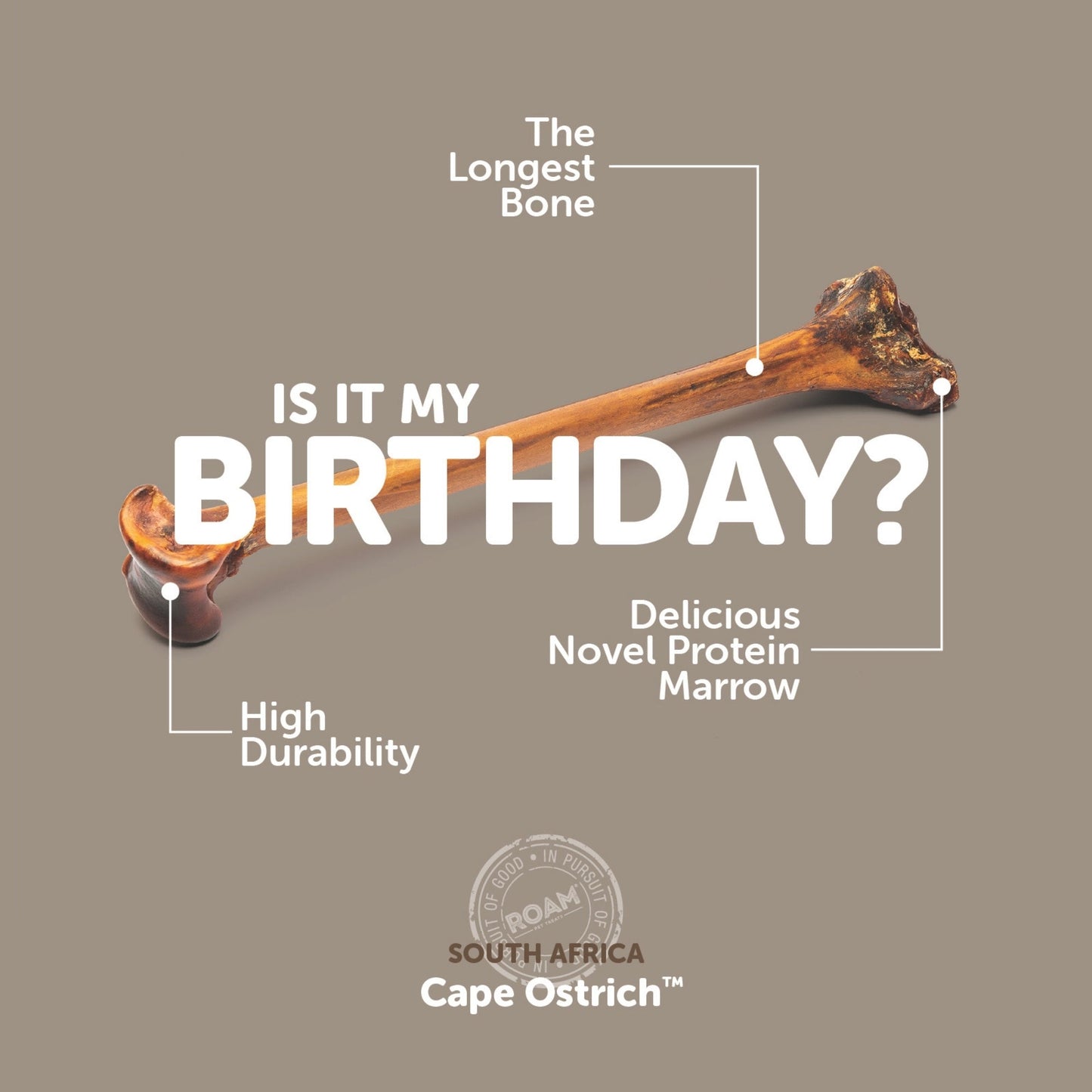 Roam Slow Roast Forever Bone Ostrich