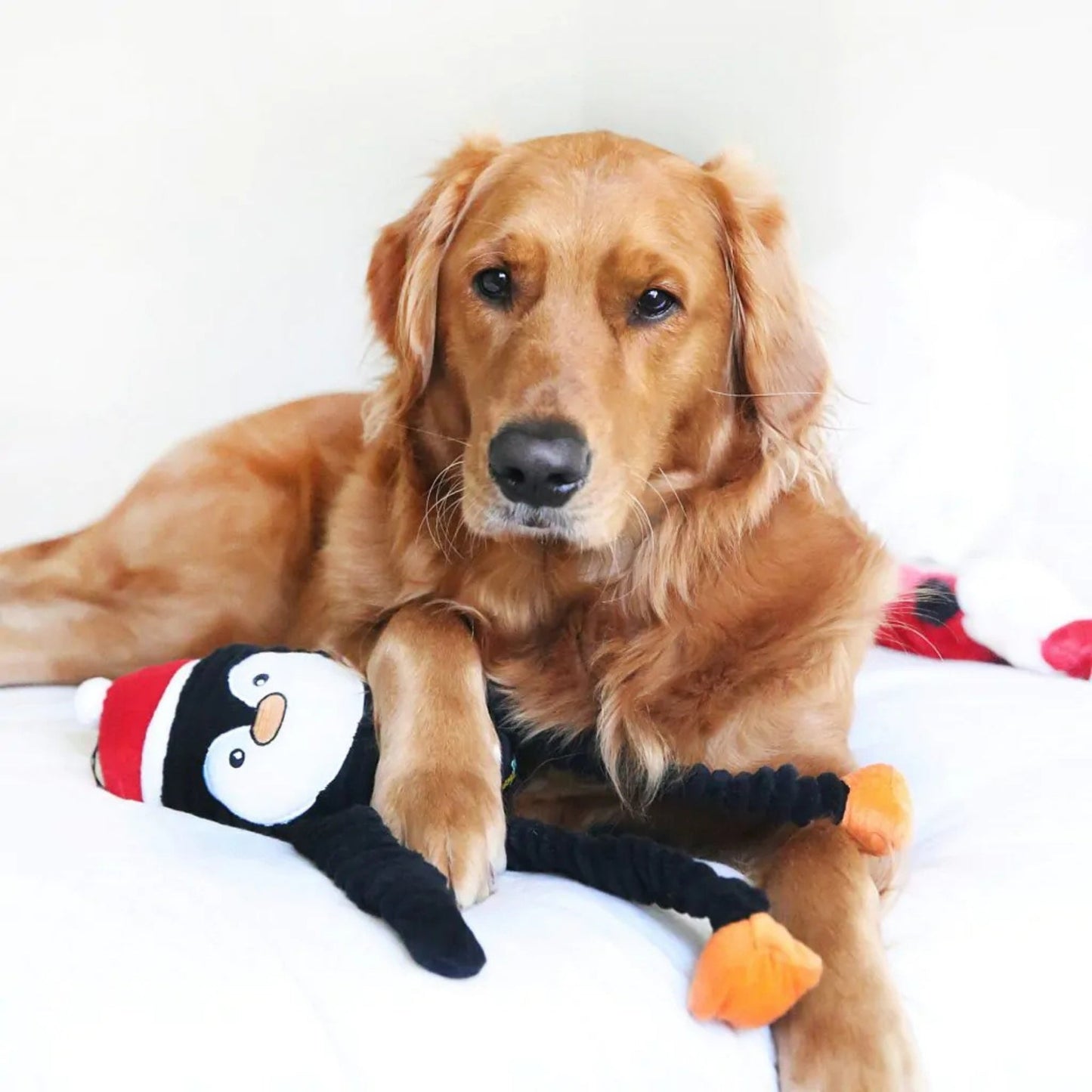 Zippypaws Holiday Crinkles Penguin Black/White Jumbo