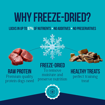 Freeze Dried Dog Treats, Beef Liver, Healthy, Natural, Single Ingredient, Grain Free Dog Treat, Liver Treats for Dogs, 14 Ounces, Resealable Tub