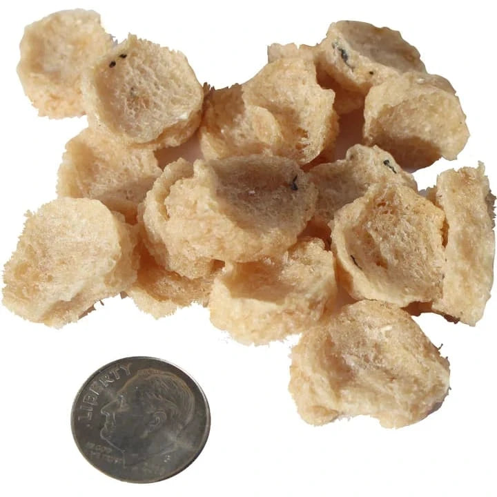 Icelandic Dog Cod Chips Mini 2.5oz.