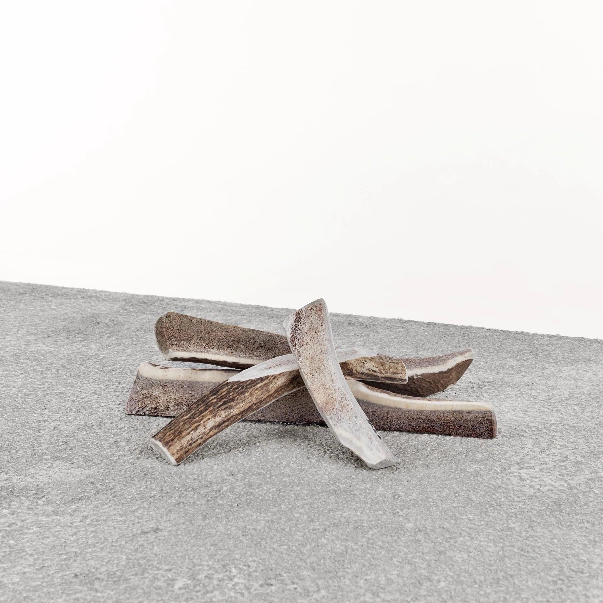 Primal Dog Stag Antler Xl Default Title