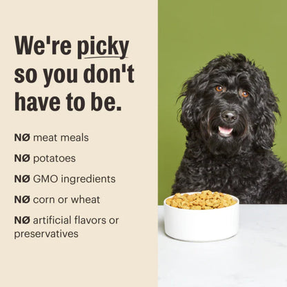 The Honest Kitchen Dog Essential Clusters Turkey, Chicken & Oat 20lbs.