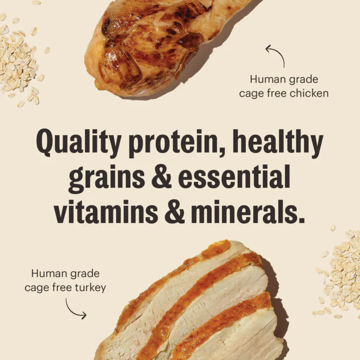 The Honest Kitchen Dog Essential Clusters Turkey, Chicken & Oat 20lbs.