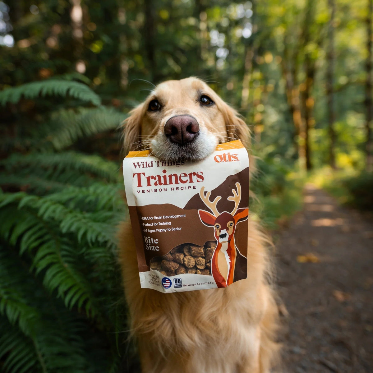 Otis Dog Wild Things Trainers Venison 4oz.