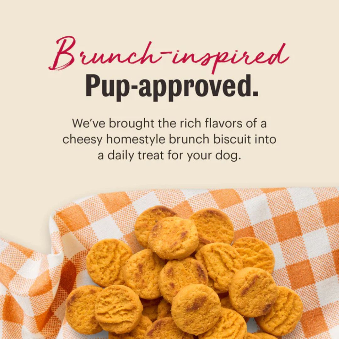 The Honest Kitchen Dog Cheddar Biscuits Made With Real Cheddar Cheese 3.5Oz Pouch