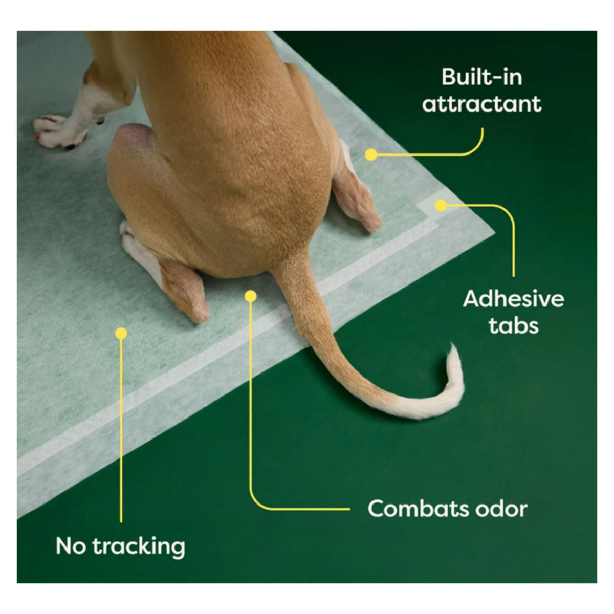 Earth Rated Dog Max Absorbency Puppy Pee Pads Large 22” X 23” - 30 Count