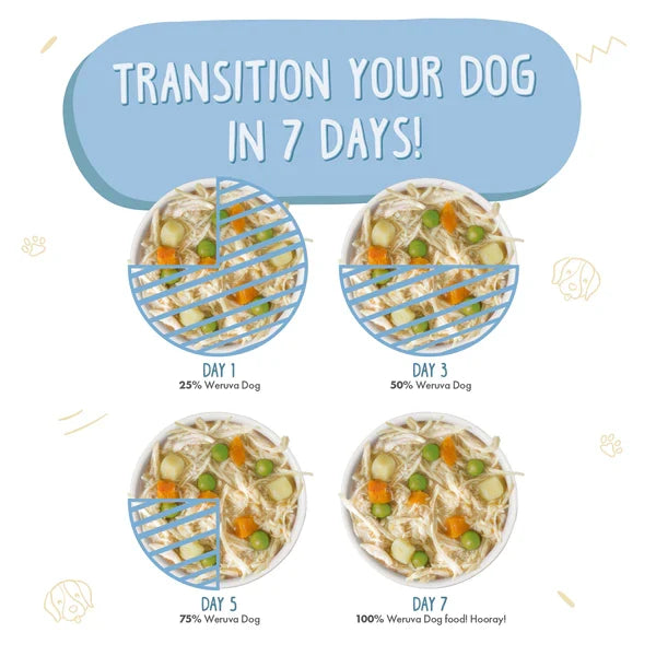 Weruva Dog Chicken Soup 5.5oz. (Case of 24)