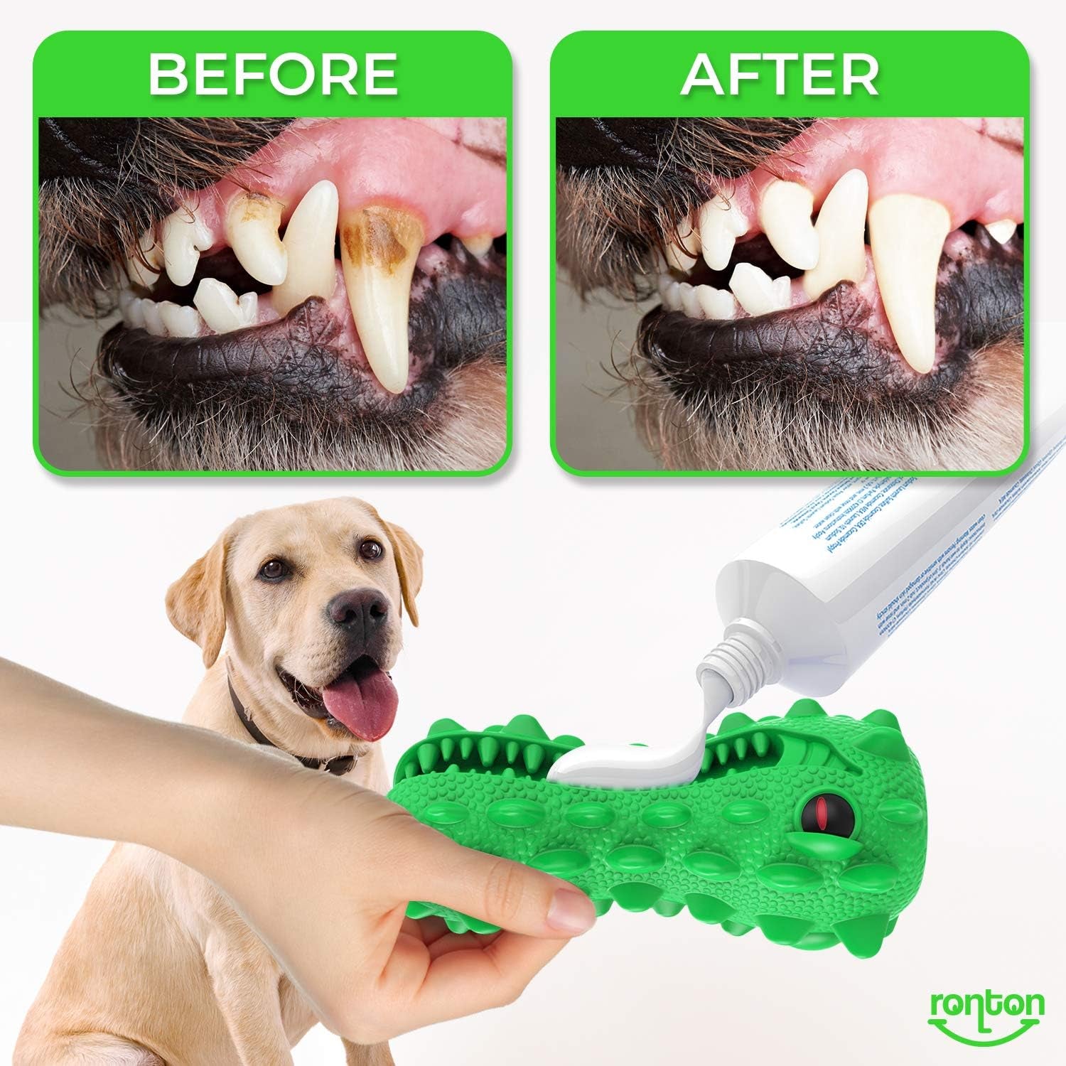 Cat Toothbrush - Durable Hard Rubber Cat Dental Care, Interactive Toothbrush Chew Toy (1 Pack Dino)