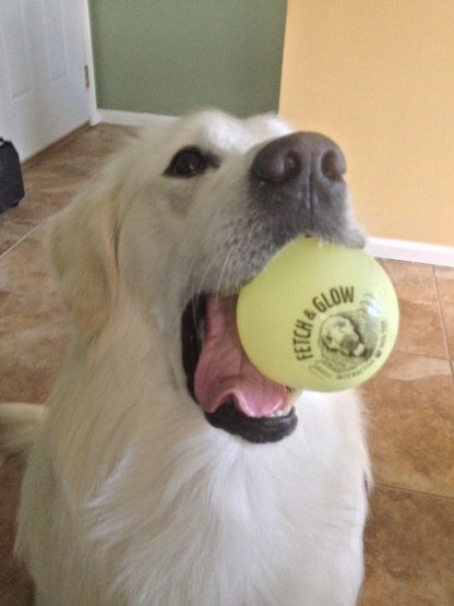 Fetch & Glow Balls
