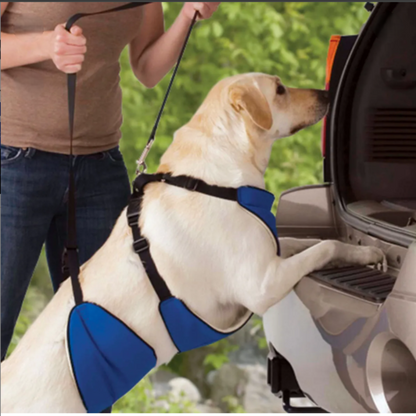 Total Pet Health Lift & Lead 4 in 1