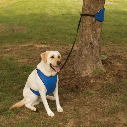 Total Pet Health Lift & Lead 4 in 1