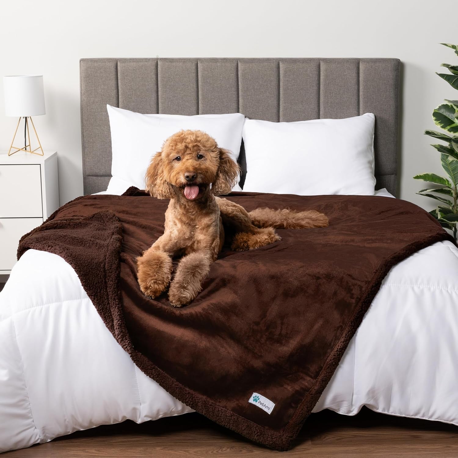 Waterproof Dog Blanket for Queen Bed Large XL Dog Throw for Couch Cover Leakproof Furniture Protection, Sherpa Fleece, Reversible Soft Washable 90X90 Light Gray