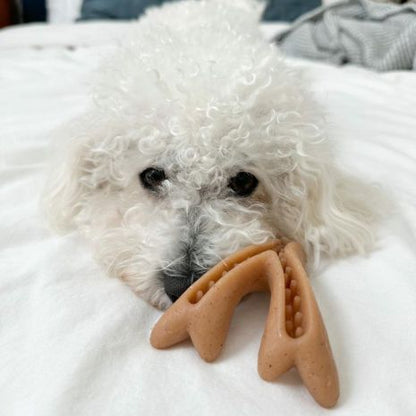 Tall Tails Dog Enrichment Antler & Acorn 12 Inches
