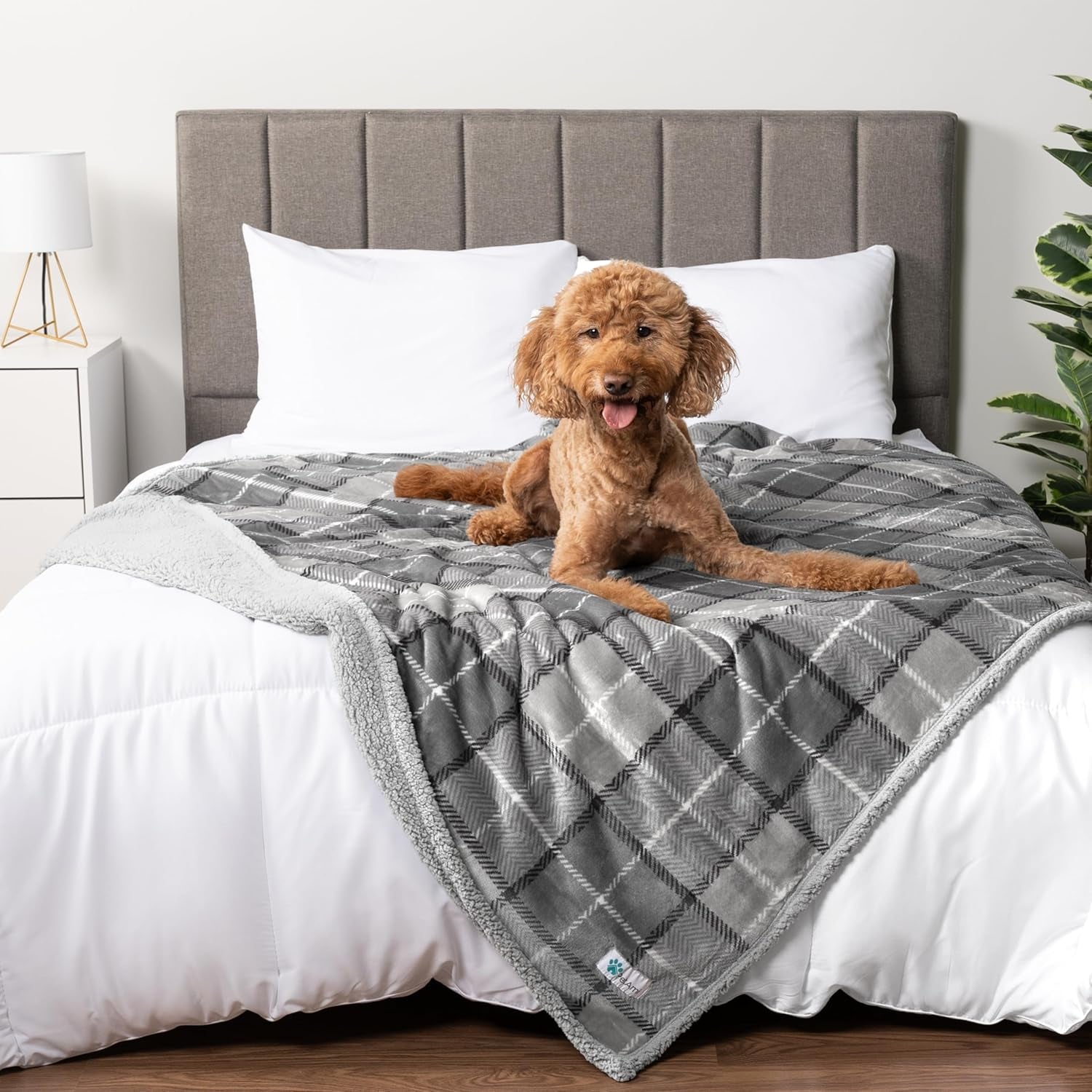 Waterproof Dog Blanket for Queen Bed Large XL Dog Throw for Couch Cover Leakproof Furniture Protection, Sherpa Fleece, Reversible Soft Washable 90X90 Light Gray