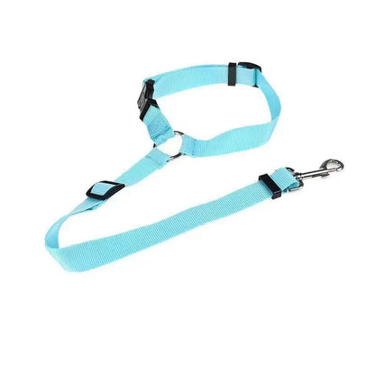 Car seat leash