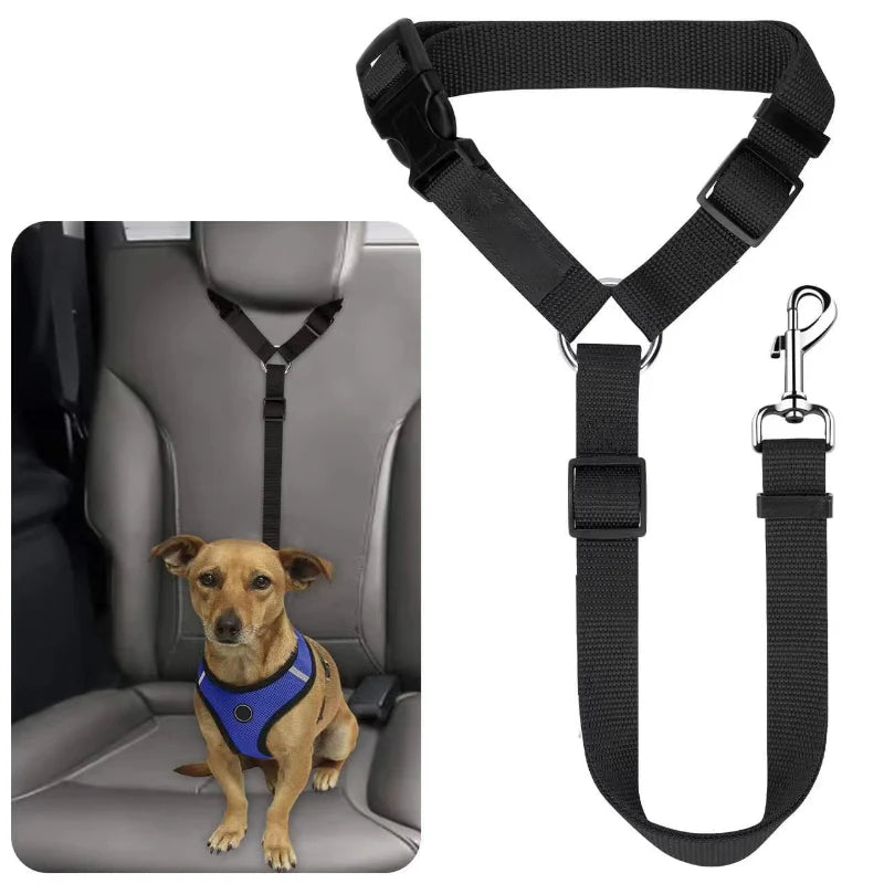 Car seat leash