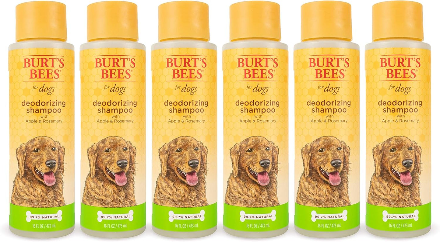 Naturally Derived Deodorizing Dog Shampoo with Apple & Rosemary - Dog Shampoo for Odors - Cruelty Free, Formulated without Sulfates and Parabens, Made in USA, 16 Oz - 2 Pack