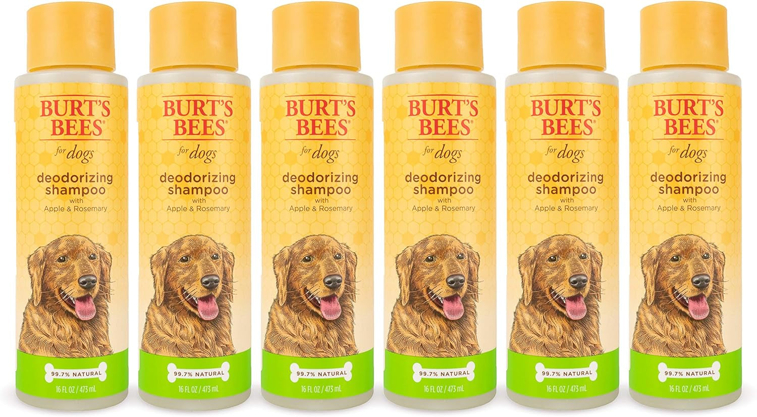 Naturally Derived Deodorizing Dog Shampoo with Apple & Rosemary - Dog Shampoo for Odors - Cruelty Free, Formulated without Sulfates and Parabens, Made in USA, 16 Oz - 2 Pack