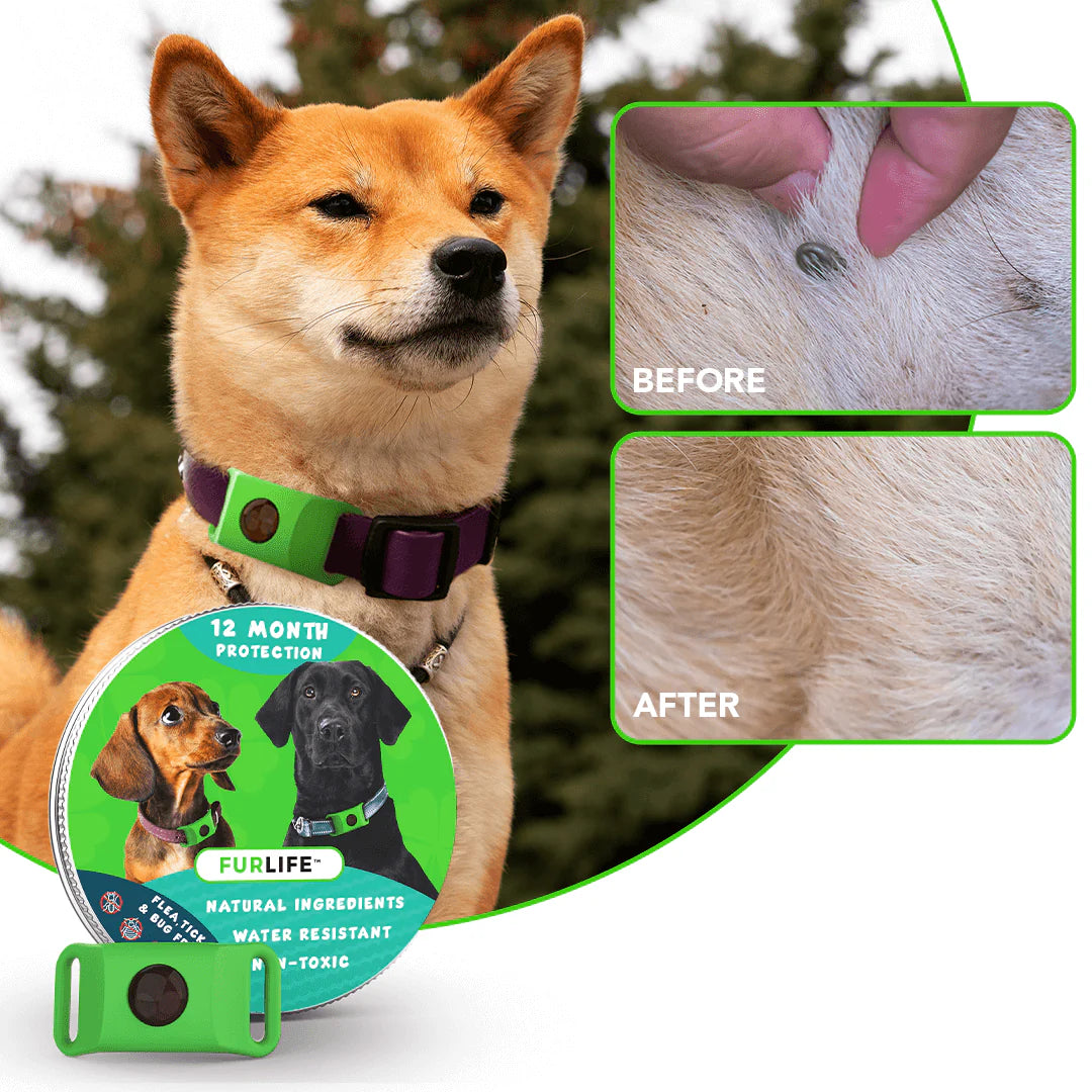 Furlife™ 12 Months Flea and Tick Free