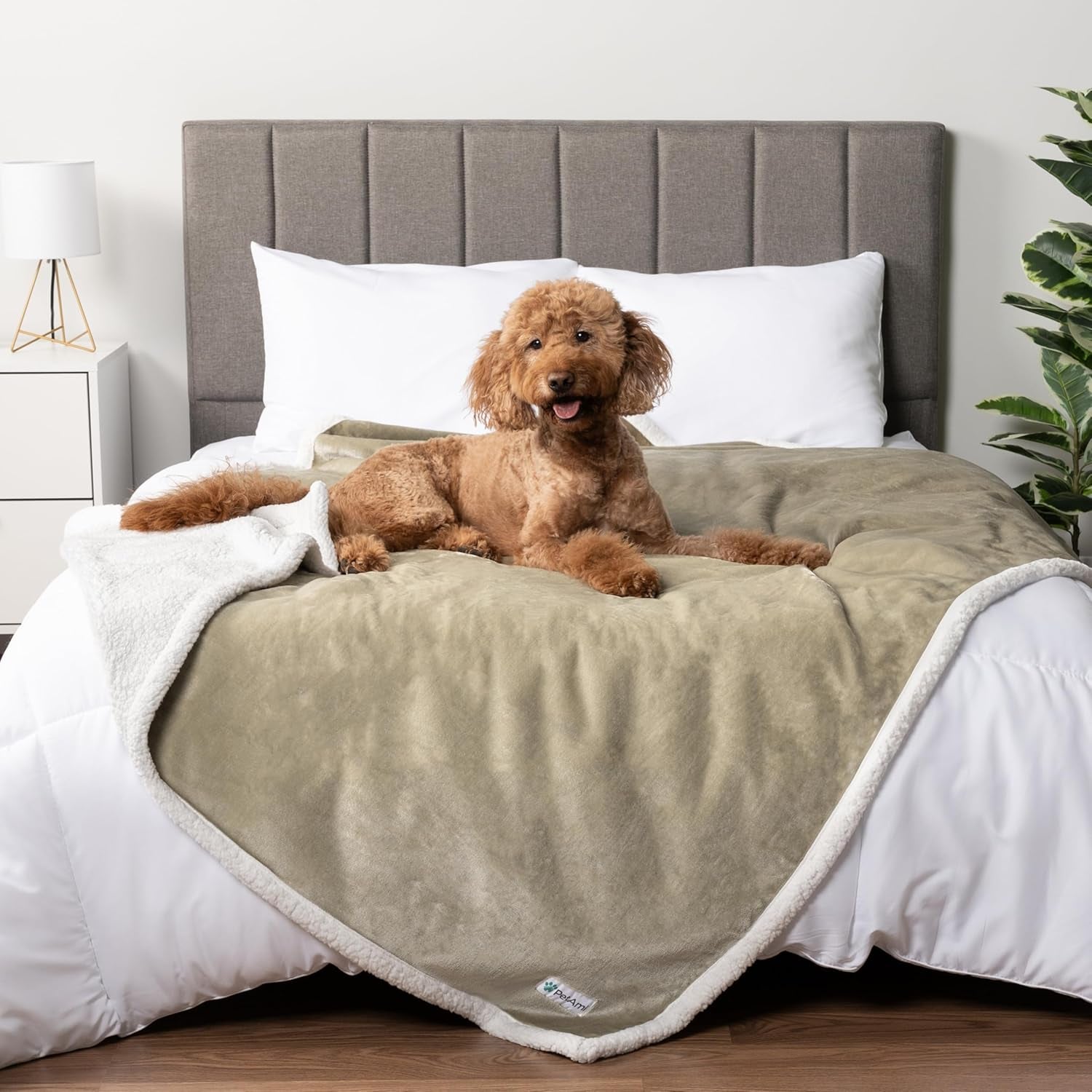 Waterproof Dog Blanket for Queen Bed Large XL Dog Throw for Couch Cover Leakproof Furniture Protection, Sherpa Fleece, Reversible Soft Washable 90X90 Light Gray
