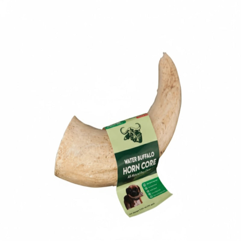 WATER BUFFALO HORN